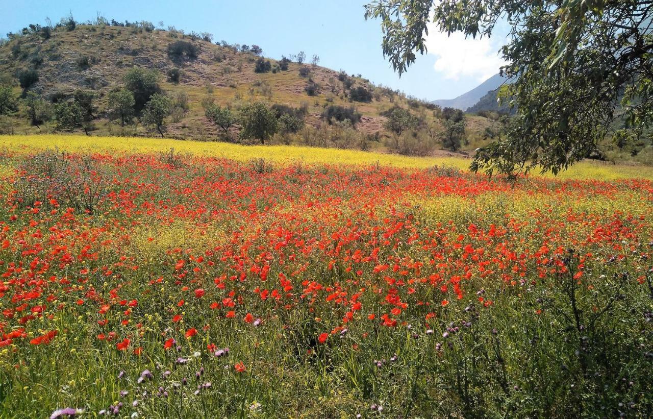 Magina Dream La Guardia Turismo Rural La Guardia de Jaén エクステリア 写真
